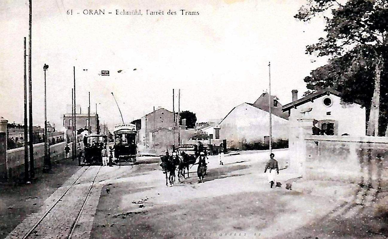 Oran - Eckmuhl - Arret des Trams.jpg